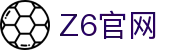 Z6集团|中国官网